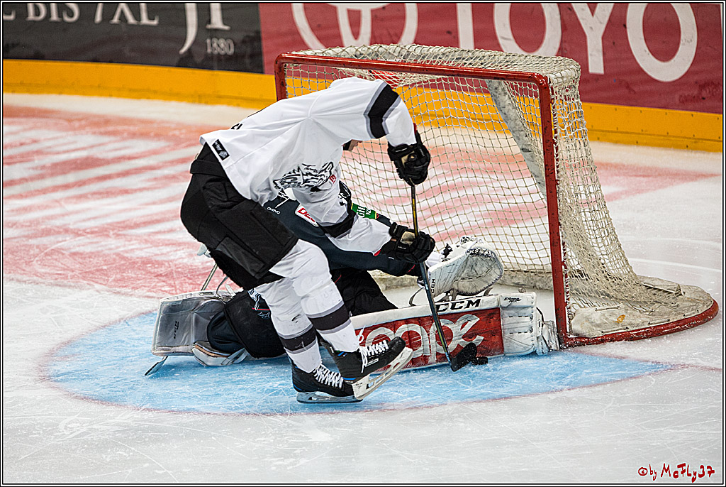 DEL, Koelner Haie - Nuernberg Ice Tiger, 24.01.2017